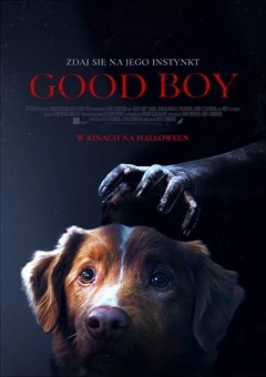 GOOD BOY /napisy/